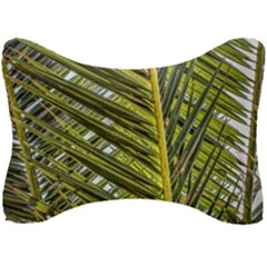 Palm Fronds Palm Palm Leaf Plant Seat Head Rest Cushion by Wegoenart