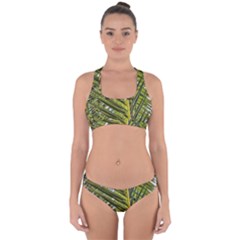 Palm Fronds Palm Palm Leaf Plant Cross Back Hipster Bikini Set by Wegoenart