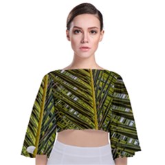 Palm Fronds Palm Palm Leaf Plant Tie Back Butterfly Sleeve Chiffon Top by Wegoenart