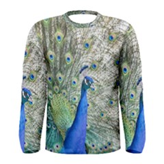 Peacock Bird Colorful Plumage Men s Long Sleeve Tee by Wegoenart