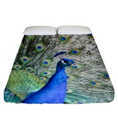 Peacock Bird Colorful Plumage Fitted Sheet (king Size) by Wegoenart