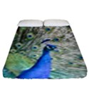 Peacock Bird Colorful Plumage Fitted Sheet (King Size) View1