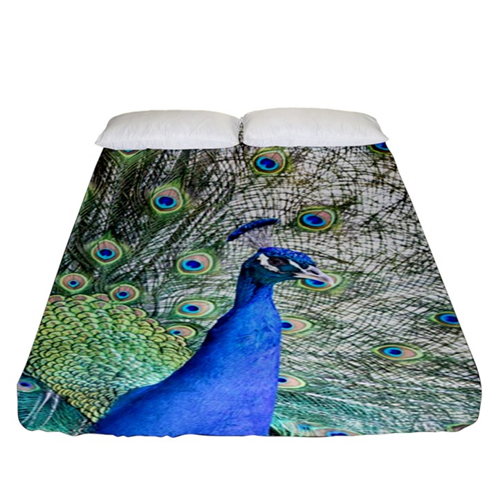 Peacock Bird Colorful Plumage Fitted Sheet (King Size)