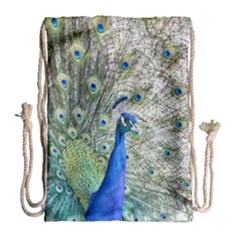 Peacock Bird Colorful Plumage Drawstring Bag (large) by Wegoenart