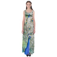 Peacock Bird Colorful Plumage Empire Waist Maxi Dress by Wegoenart