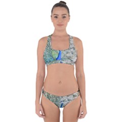 Peacock Bird Colorful Plumage Cross Back Hipster Bikini Set by Wegoenart