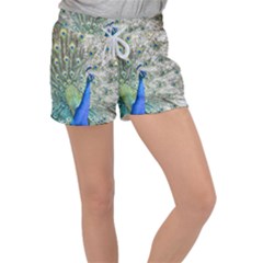 Peacock Bird Colorful Plumage Women s Velour Lounge Shorts by Wegoenart