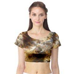 Fractal Background Color Colorful Short Sleeve Crop Top by Wegoenart