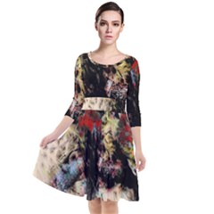 Ara Bird Parrot Animal Art Quarter Sleeve Waist Band Dress