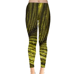 Feather Macro Bird Plumage Nature Leggings  by Wegoenart