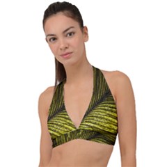 Feather Macro Bird Plumage Nature Halter Plunge Bikini Top