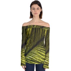 Feather Macro Bird Plumage Nature Off Shoulder Long Sleeve Top