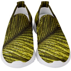 Feather Macro Bird Plumage Nature Kids  Slip On Sneakers