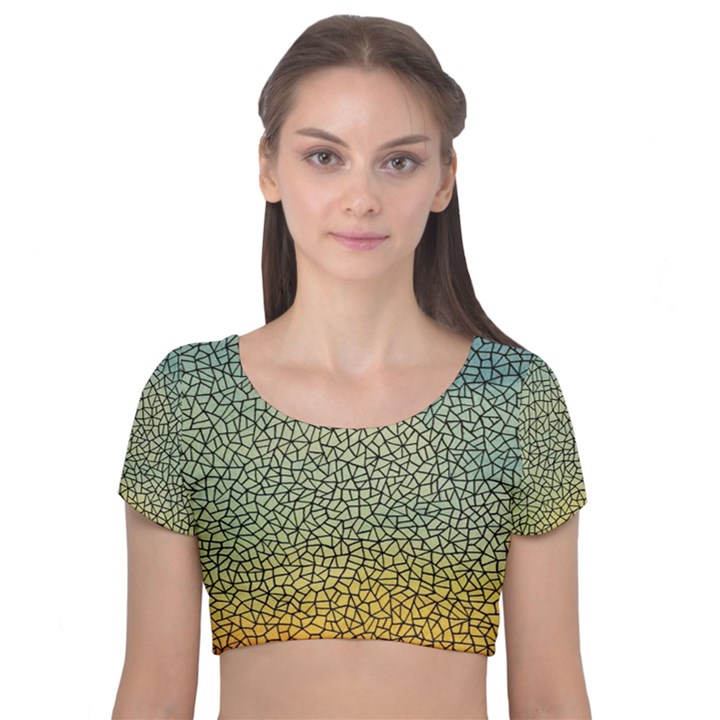 Background Cubism Mosaic Vintage Velvet Short Sleeve Crop Top 