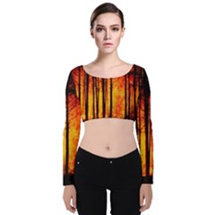 Forest Fire Forest Climate Change Velvet Long Sleeve Crop Top by Wegoenart