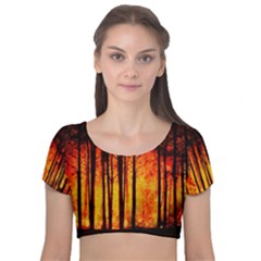 Forest Fire Forest Climate Change Velvet Short Sleeve Crop Top  by Wegoenart