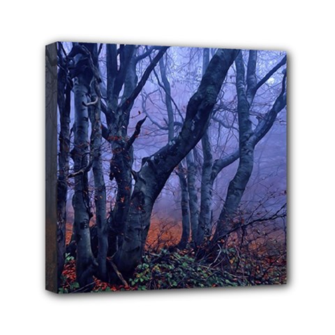 Beeches Autumn Foliage Forest Tree Mini Canvas 6  X 6  (stretched) by Wegoenart