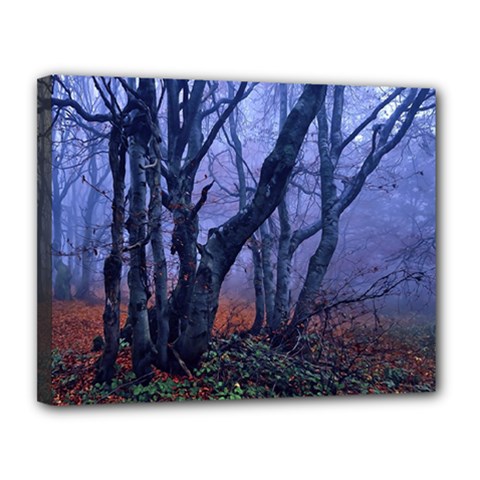 Beeches Autumn Foliage Forest Tree Canvas 14  X 11  (stretched) by Wegoenart