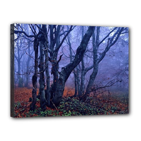 Beeches Autumn Foliage Forest Tree Canvas 16  X 12  (stretched) by Wegoenart