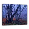 Beeches Autumn Foliage Forest Tree Canvas 20  x 16  (Stretched) View1