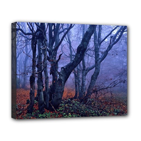 Beeches Autumn Foliage Forest Tree Deluxe Canvas 20  X 16  (stretched) by Wegoenart