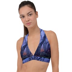 Beeches Autumn Foliage Forest Tree Halter Plunge Bikini Top