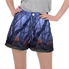 Beeches Autumn Foliage Forest Tree Stretch Ripstop Shorts by Wegoenart