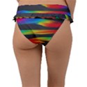 Abstarct Pattern Colorful Background Frill Bikini Bottom View2