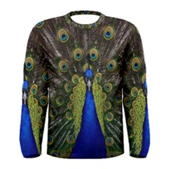 Peacock Bird Plumage Display Full Men s Long Sleeve Tee by Wegoenart