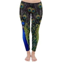 Peacock Bird Plumage Display Full Classic Winter Leggings by Wegoenart