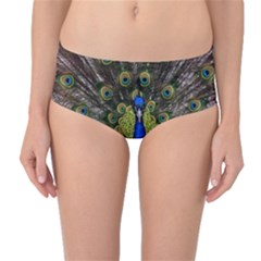 Peacock Bird Plumage Display Full Mid-waist Bikini Bottoms by Wegoenart