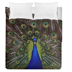 Peacock Bird Plumage Display Full Duvet Cover Double Side (queen Size) by Wegoenart