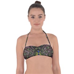 Peacock Bird Plumage Display Full Halter Bandeau Bikini Top by Wegoenart