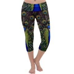 Peacock Bird Plumage Display Full Capri Yoga Leggings by Wegoenart