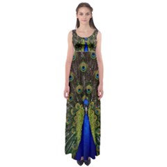 Peacock Bird Plumage Display Full Empire Waist Maxi Dress by Wegoenart