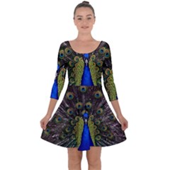 Peacock Bird Plumage Display Full Quarter Sleeve Skater Dress by Wegoenart