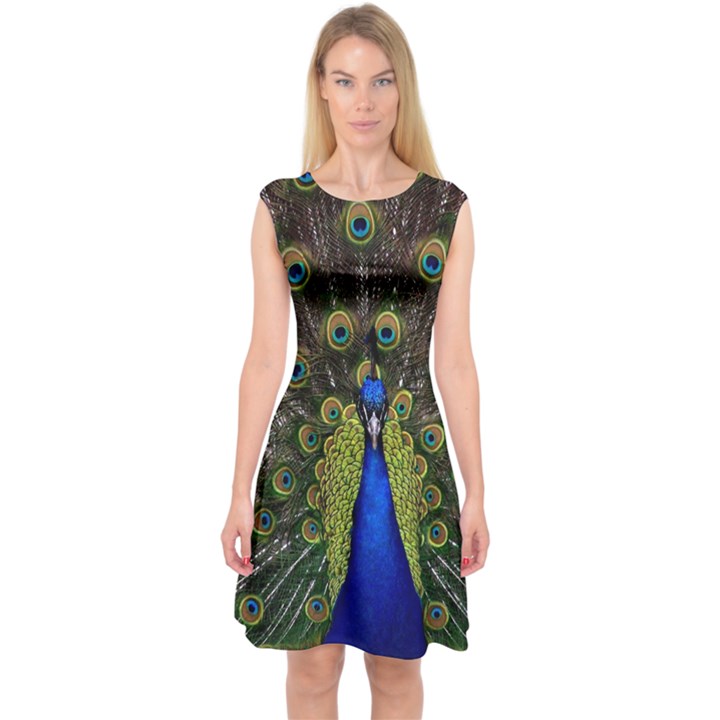 Peacock Bird Plumage Display Full Capsleeve Midi Dress