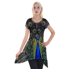 Peacock Bird Plumage Display Full Short Sleeve Side Drop Tunic by Wegoenart