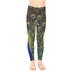 Peacock Bird Plumage Display Full Kids  Legging by Wegoenart