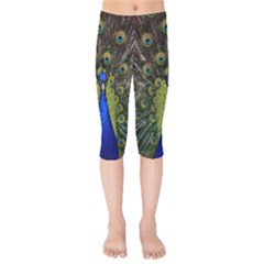 Peacock Bird Plumage Display Full Kids  Capri Leggings  by Wegoenart