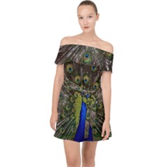 Peacock Bird Plumage Display Full Off Shoulder Chiffon Dress