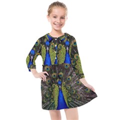 Peacock Bird Plumage Display Full Kids  Quarter Sleeve Shirt Dress by Wegoenart