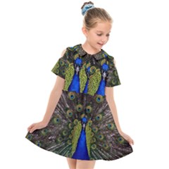 Peacock Bird Plumage Display Full Kids  Short Sleeve Shirt Dress by Wegoenart