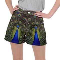 Peacock Bird Plumage Display Full Stretch Ripstop Shorts