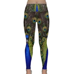 Peacock Bird Plumage Display Full Lightweight Velour Classic Yoga Leggings by Wegoenart