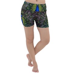 Peacock Bird Plumage Display Full Lightweight Velour Yoga Shorts by Wegoenart