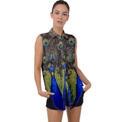 Peacock Bird Plumage Display Full Sleeveless Chiffon Button Shirt