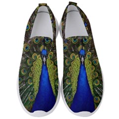 Peacock Bird Plumage Display Full Men s Slip On Sneakers by Wegoenart