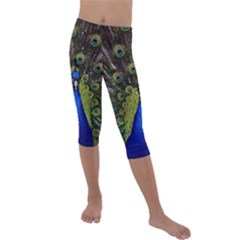 Peacock Bird Plumage Display Full Kids  Lightweight Velour Capri Leggings  by Wegoenart