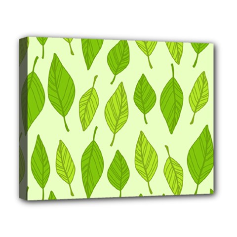 Autumn Background Boxes Green Leaf Deluxe Canvas 20  X 16  (stretched) by Wegoenart